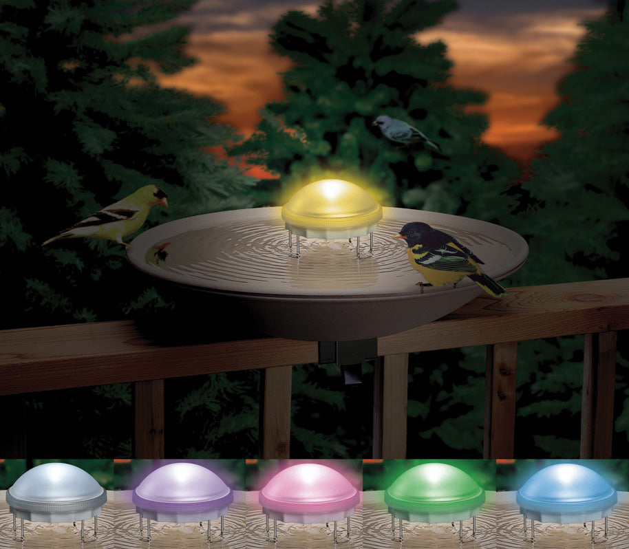 Aurora Water Wiggler in a birdbath, featuring a dome with metal legs, colorful lights, and a silent agitator creating continuous ripples.