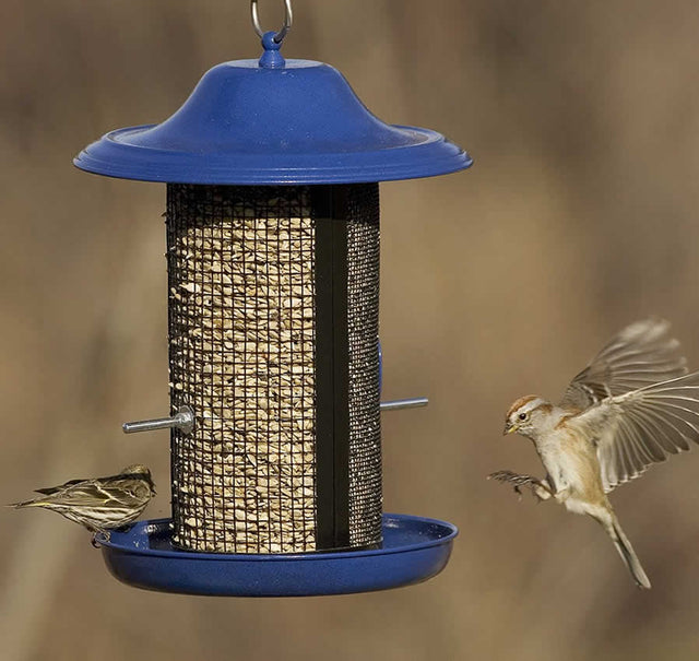 Cobalt Twin Bird Feeder with two seed compartments, blue top, and mesh hopper; a bird flies nearby, highlighting its attraction to various birds.