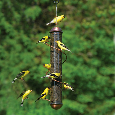 Copper Spiral Nyjer® Feeder with yellow birds feeding on the spiral perch, featuring multiple feeding ports and clear plastic for seed level viewing.