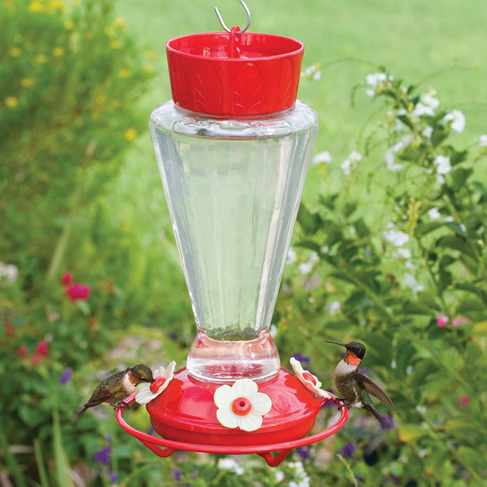 Royal Hummingbird Feeder with a red top, clear glass reservoir, and flower-shaped feeding ports, designed for easy cleaning and insect prevention.