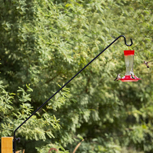 Hummingbird feeding at a window-mounted 36 Extended Reach Wall Bracket with feeder, showcasing its adjustable, durable design for easy bird watching and filling.