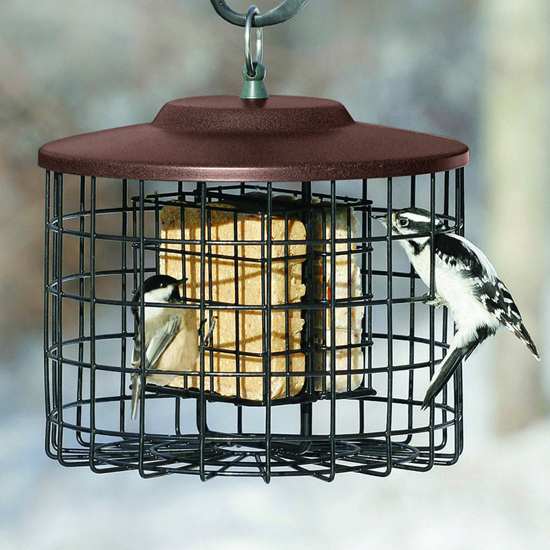 Squirrel Proof Double Suet Feeder, Brown, with two birds feeding inside its caged structure. Durable design with 1-1/2 inch openings to deter squirrels.