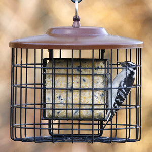 Squirrel Proof Double Suet Feeder, Brown: A caged suet feeder designed to attract small birds while keeping out gray squirrels, featuring metal construction and a locking roof.