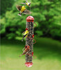 Red Spiral Sunflower Seed Feeder with finches perched and flying around, featuring an aluminum and stainless steel design and eight feeding ports for easy viewing and cleaning.