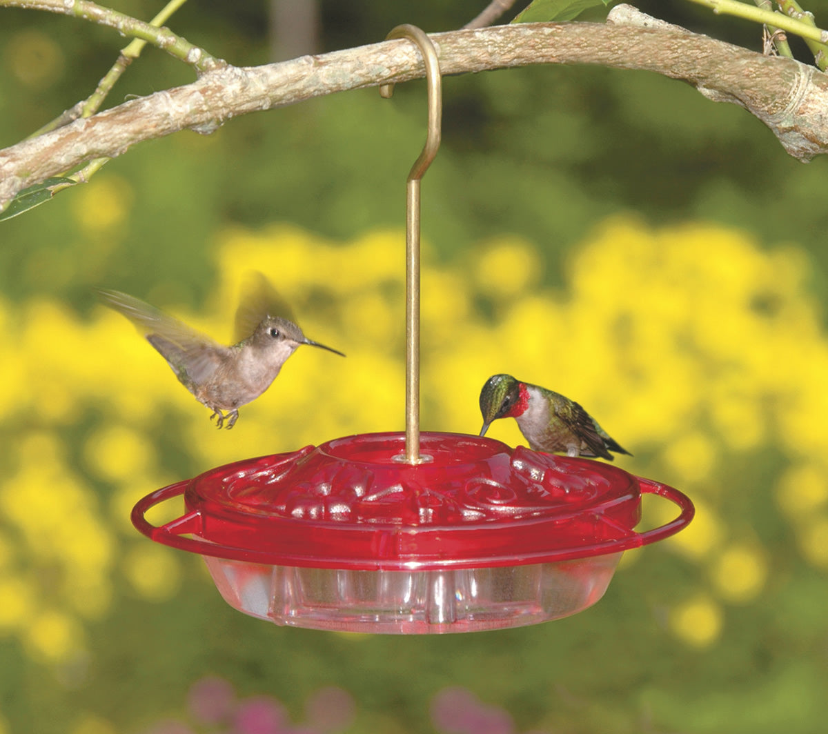 Aspects Little Fancy Hummingbird Feeder with three feeding stations, a clear nectar dish, and brass hanging hook, shown with two hummingbirds perched nearby.