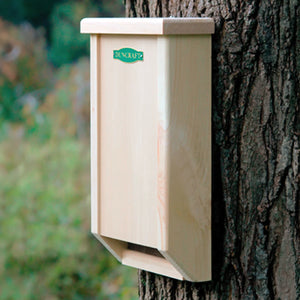 Duncraft BestBasic Bat House mounted on a tree, showcasing its wooden design with a single chamber and mesh screening for easy landing and roosting.