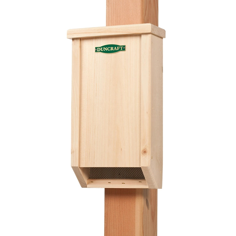 Duncraft BestBasic Bat House, a wooden single-chamber bat house made of Eastern white pine with mesh screening, designed for easy bat landing and roosting.