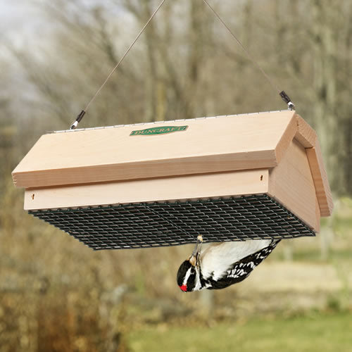 Duncraft Double Upside Down Suet feeder with a black and white bird using the feeder, designed for clingers like woodpeckers. Holds two suet cakes.