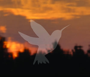 Silhouette of a hummingbird against a sunset, representing the Save The Birds ultraviolet decal designed to prevent bird-window collisions.