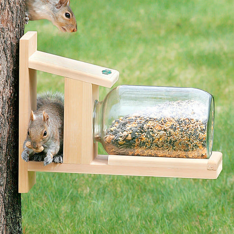 Duncraft Squirrel Jar Feeder on tree, featuring a wooden bracket with an upside-down glass jar of seeds. Two squirrels interact with the feeder.