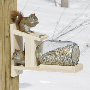 Duncraft Squirrel Jar Feeder with a squirrel eating from the jar, mounted on a wooden surface, designed to hold up to 4 pounds of food.