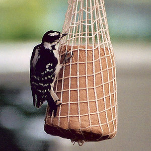 Attractor No Melt Peanut Butter Suet Bell, Set of 3, shown with a woodpecker clinging to the suet bell in a mesh hanging bag.