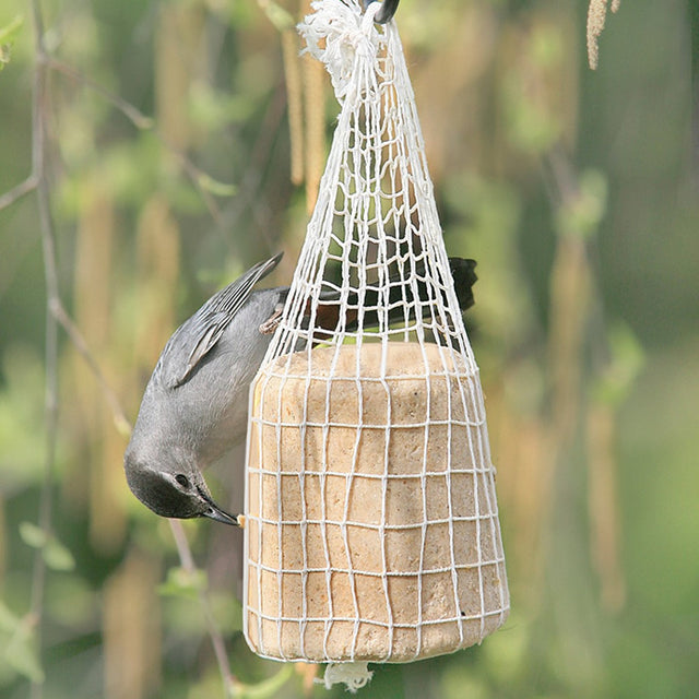 Attractor No Melt Peanut Butter Suet Bell, Set of 3, featuring birds feeding from a mesh hanging bag filled with nutrient-rich suet.