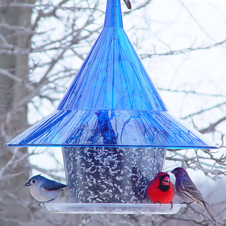 Arundale Sapphire Sky Cafe bird feeder with birds feeding, featuring a large seed tray and squirrel-resistant design, hanging outdoors in a snowy tree.