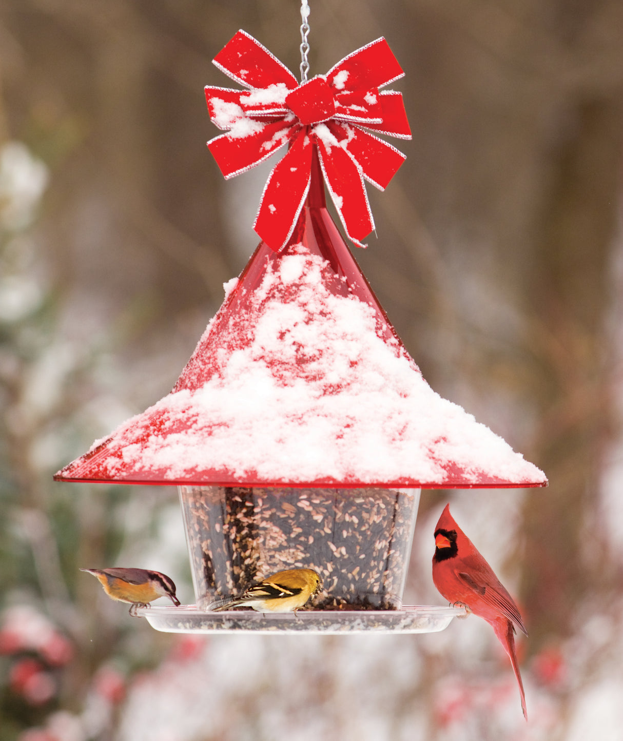 Arundale Ruby Sky Cafe bird feeder with snow, red bow, and birds feeding. Holds 10 lbs. of seed, features squirrel-proof design, made from recycled plexiglass.