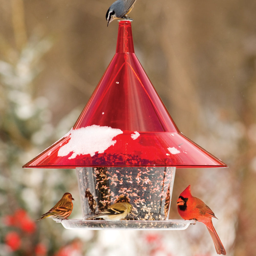 Arundale Ruby Sky Cafe Bird Feeder with birds and a snowy background. 