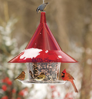 Arundale Ruby Sky Cafe bird feeder with a red bird perched, featuring a large seed tray and a 24-inch hanging chain.