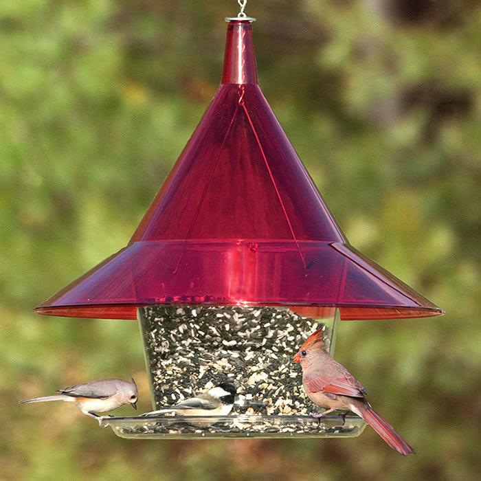 Arundale Ruby Sky Cafe bird feeder with birds eating seeds, featuring a large see-through hopper and wide seed tray for easy feeding and cleaning.