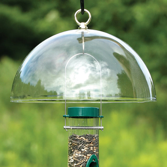 Dome Baffle: A clear dome-shaped bird feeder baffle hanging outdoors, filled with seeds, designed to protect feeders from rain and squirrels.