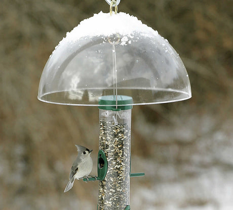 Dome Baffle protecting bird feeder from squirrels, featuring a clear plastic dome with an eye hook for hanging, amidst a snowy outdoor setting.