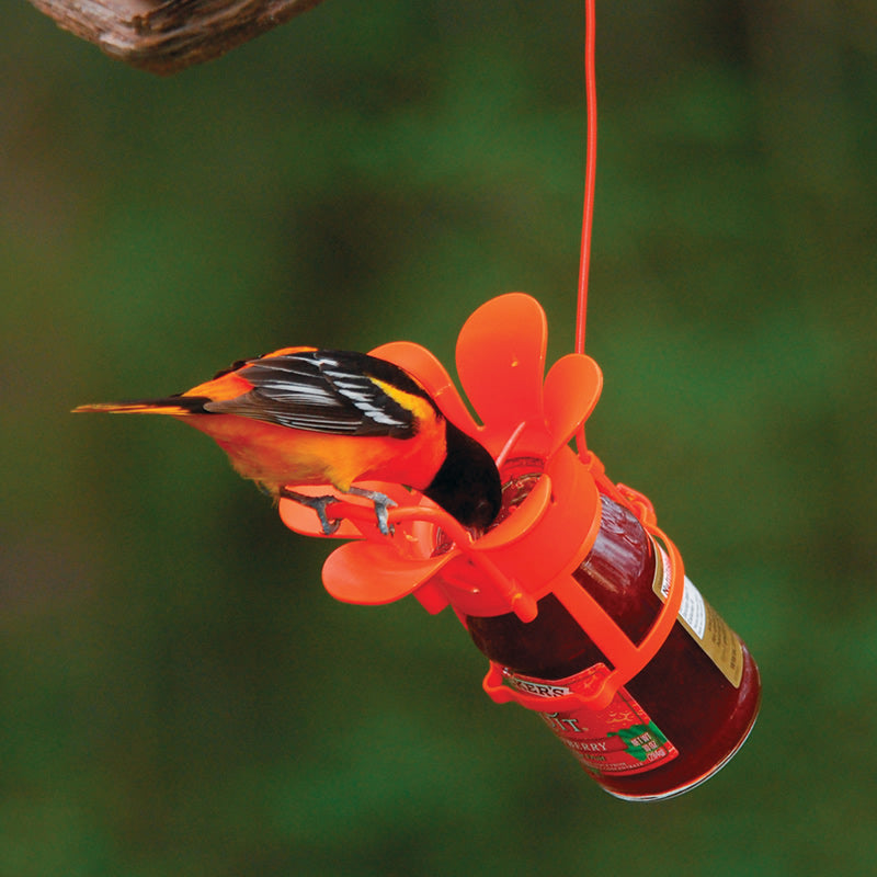 Jelly/Jam Fruit Feeder with a bird eating from an attached jelly jar, featuring a built-in perch on an orange blossom-shaped base.