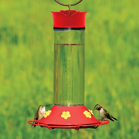 30 Ounce Glass Hummingbird Feeder with six feeding ports and a clear glass reservoir, featuring a built-in ant moat and S-hook for easy hanging.