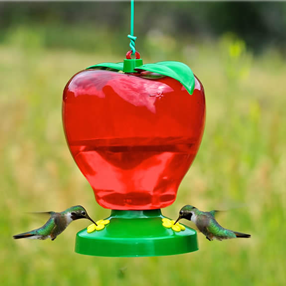 Apple Hummingbird Feeder with three feeding ports and a no-drip base, designed to attract hummingbirds. Features a bright, apple-shaped design for easy refilling and cleaning.