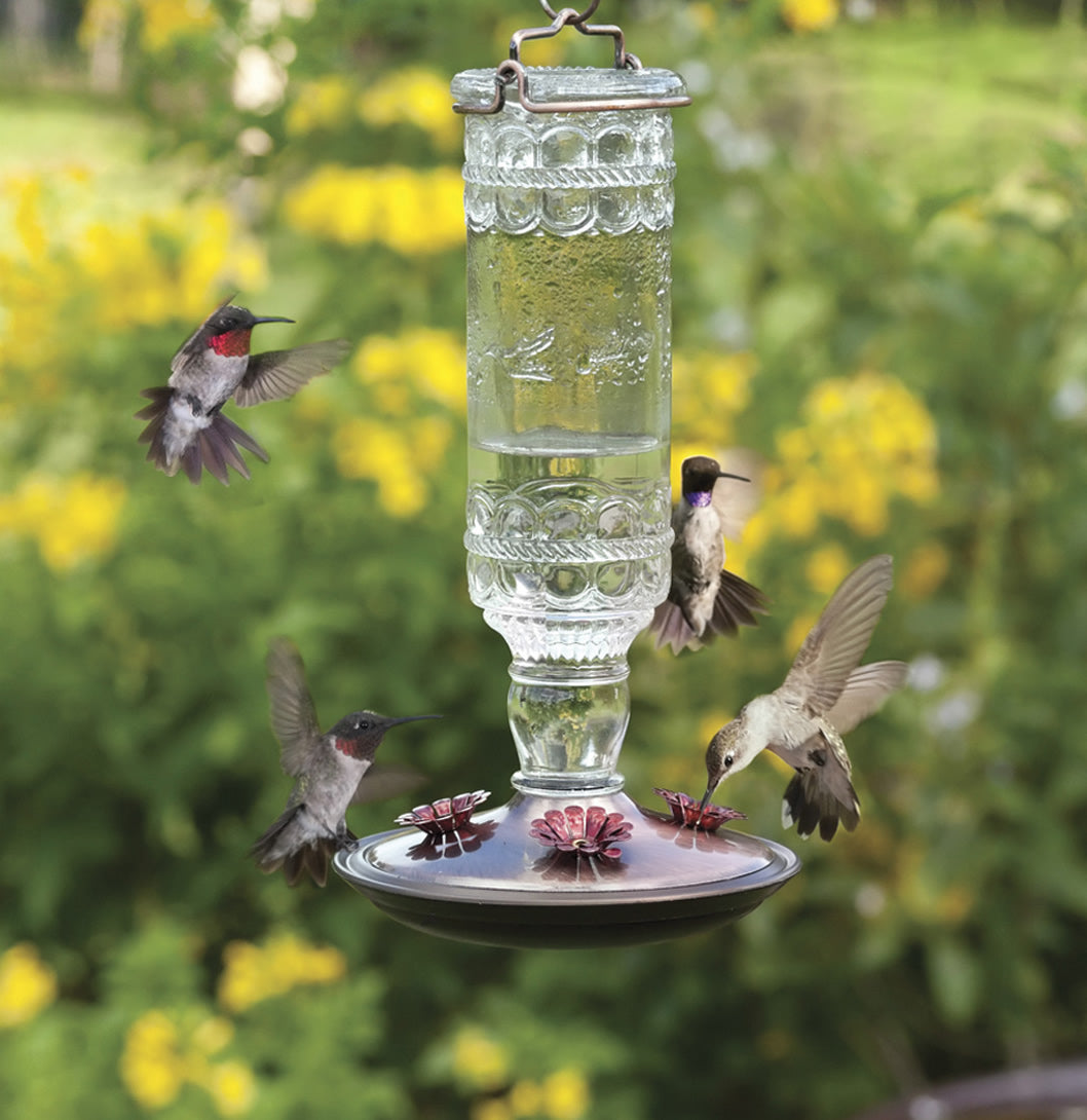 Clear Antique Hummingbird Feeder with stylized red flower ports, attracting hummingbirds. Made from recycled glass, includes hanger with brushed metal base.