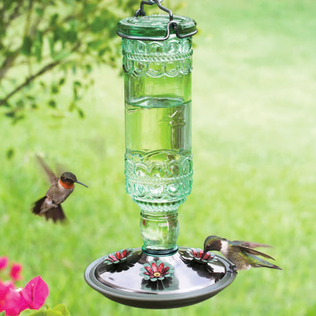 Antique Hummingbird Feeder with clear liquid, featuring four feeding ports and a vintage-style green glass design, attracting hummingbirds around a no-drip feeder.