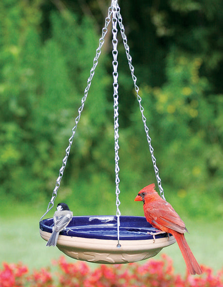 Hanging Blue Glazed Stoneware Birdbath with a bird perched on it, featuring a cobalt blue basin and natural stoneware exterior.