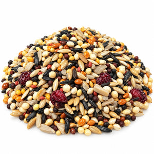 Close-up of Brown’s Fancy Finch wild bird seed blend featuring assorted seeds, grains, and dried cranberries on a white background.
