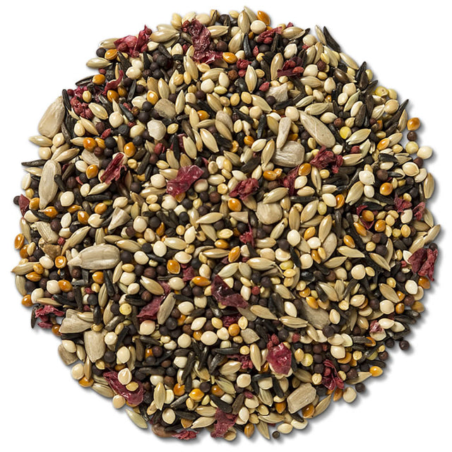 Brown's Fancy Finch with Cranberries Wild Bird Seed, 5-lb bag, featuring a mix of various seeds and dried cranberries for finch attraction.