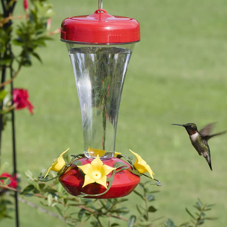 Aster Hummingbird Feeder in use, with a hummingbird feeding. Features top-fill design, 20 oz capacity, and bee-resistant ports, hanging outdoors.