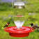Best-1 Hummingbird Feeder 16 oz., featuring a clear bottle and red tray with two hummingbirds feeding, designed for easy cleaning and wind-resistant nectar storage.