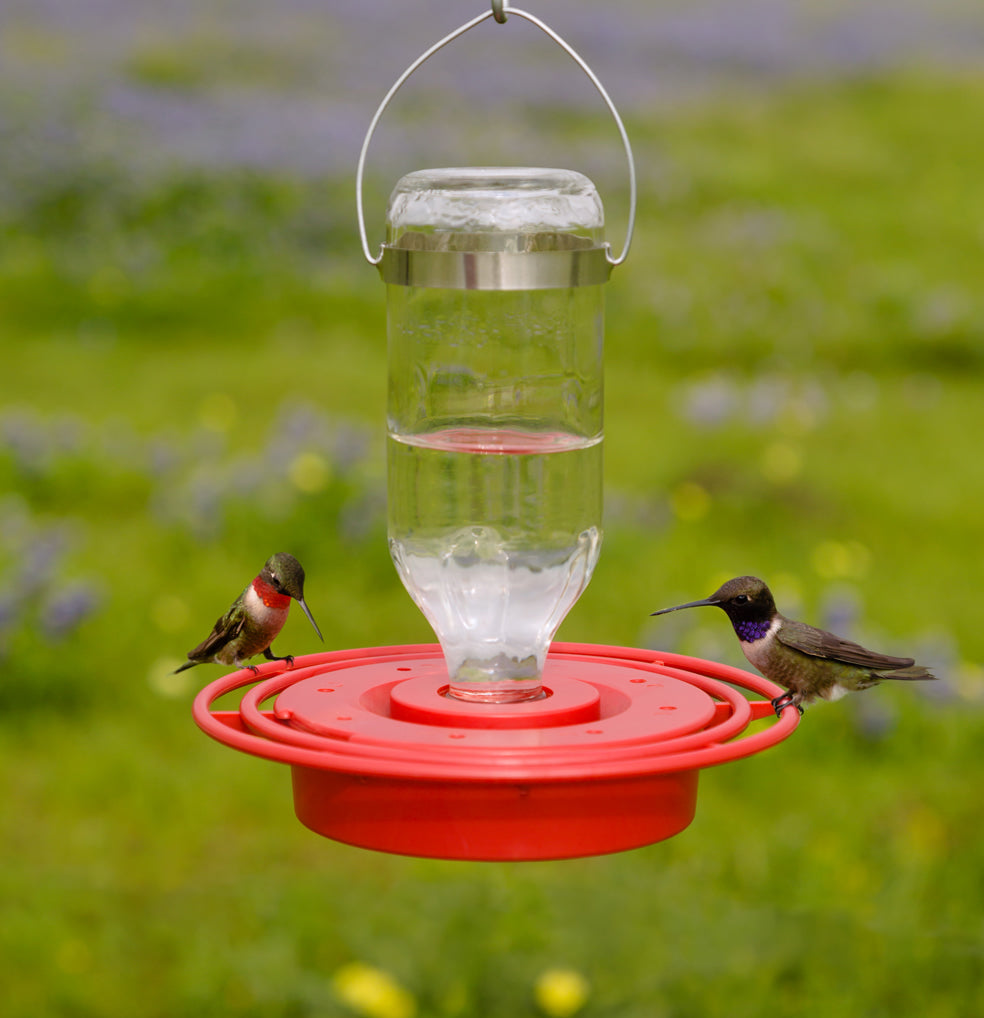 Best-1 Hummingbird Feeder 8 oz. features a clear glass bottle with red plastic base, attracting multiple hummingbirds simultaneously at its eight feeding stations.