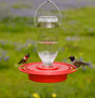 Best-1 Hummingbird Feeder 8 oz. features a clear glass bottle with red plastic base, attracting multiple hummingbirds simultaneously at its eight feeding stations.