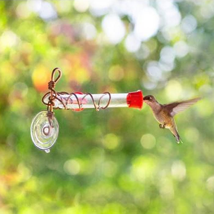 Window Wonder, 2 Tube Feeder with a copper wire frame, mounts to a window, attracting hummingbirds to drink from the red-capped feeding tubes.