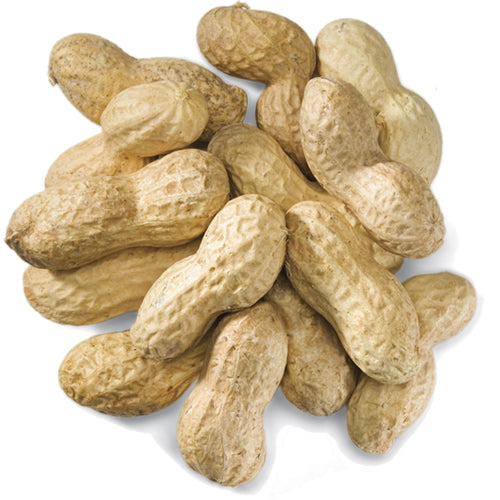 Peanuts In Shell, 5 Lbs. - A pile of unsalted, whole peanuts ideal for feeding birds and squirrels, providing high-protein nutrition.