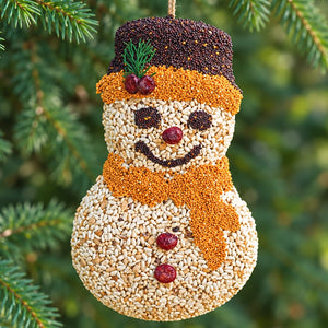 Frosty Snowman birdseed ornament with orange scarf and dark seed hat hanging among evergreen branches.