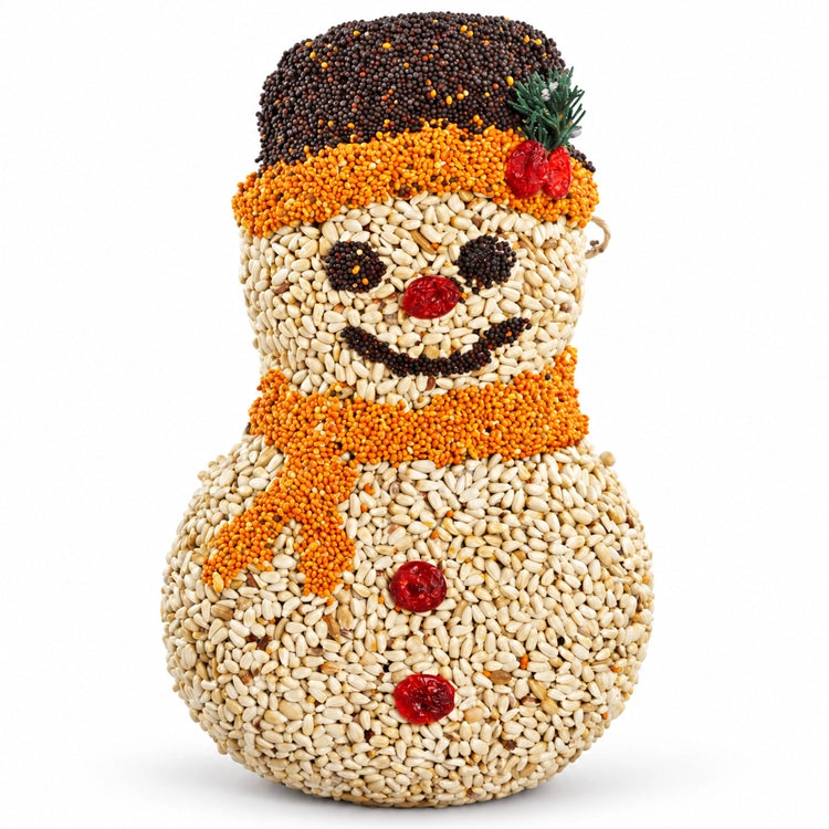 Frosty Snowman birdseed ornament with orange scarf, dark seed hat and red fruit buttons on a white background.