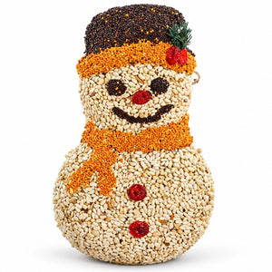Frosty Snowman birdseed ornament with orange scarf, dark seed hat and red fruit buttons on a white background.