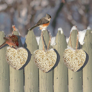 Wild Bird Seed Love Heart feeders on a snow-dusted fence with a finch and titmouse feeding, showcasing edible safflower and sunflower heart design.