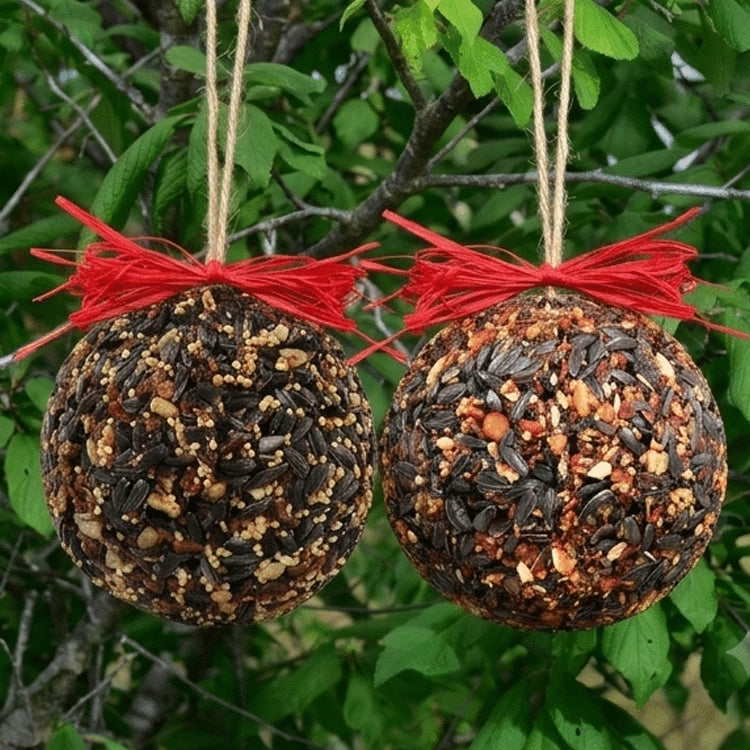Wild bird seed balls hanging from a tree with red raffia bows. 