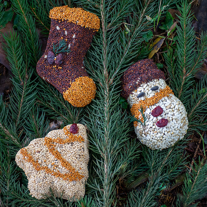 Holiday Shapes Tree, Stocking & Snowman bird seed ornaments on a pine tree, ideal for attracting various birds with premium, filler-free seeds.