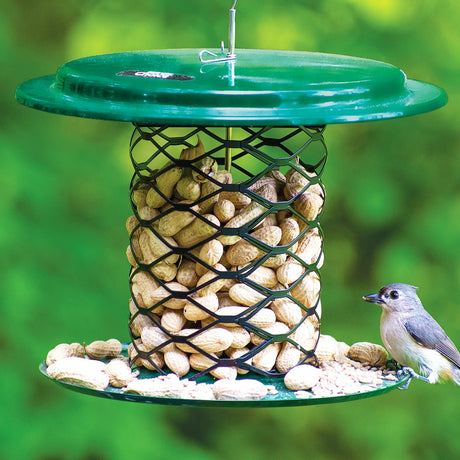 Magnet Mesh Peanut Feeder with a green metal roof and wire-mesh cylinder filled with peanuts, featuring a songbird pecking at a peanut.