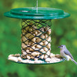 Magnet Mesh Peanut Feeder with a bird perched on it, showcasing the all-steel design, wide mesh, and overhanging roof for dry nuts.