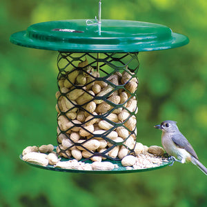 Magnet Mesh Peanut Feeder with a bird perched on it, showcasing the all-steel design, wide mesh, and overhanging roof for dry nuts.