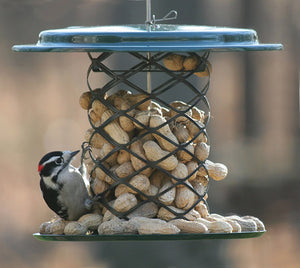 Magnet Mesh Peanut Feeder with a woodpecker perched, pecking at whole peanut shells. All-steel construction with mesh and overhanging roof, ideal for outdoor bird feeding.