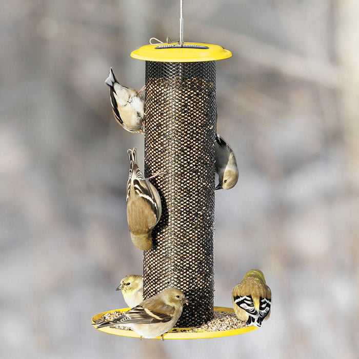 Magnet Mesh Feeder & Tray with finches perched, feeding on Nyjer® seed. Steel mesh tube and built-in hanging loop visible.