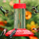 JB's Hummingbird Feeder with five hummingbirds feeding, features a clear glass reservoir, red plastic base, and four bee-resistant feeding ports.